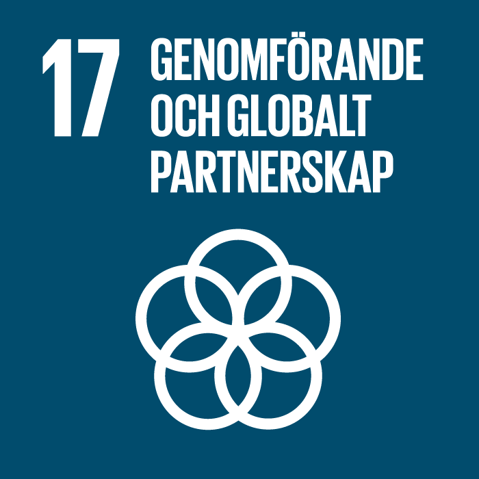 17_genomforande_och_partnerskap-logo