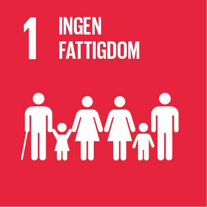 Sustainable-Development-Goals_icons-01-1