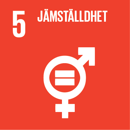 Sustainable-Development-Goals_icons-05-1