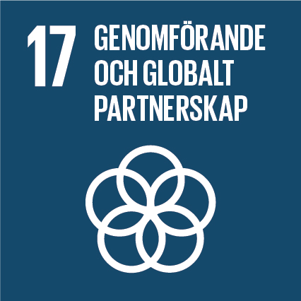 Sustainable-Development-Goals_icons-17-1